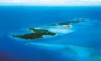 迈阿密4日+巴哈马游轮4日  8日海陆空度假之旅