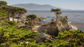 海岸风情11日游：纳帕酒乡或17哩湾 -红木森林 -旧金山市区 -优胜美地 -拉斯维加斯*自由活动或大峡谷或羚羊峡谷（4选2）-洛杉矶自选3个主题