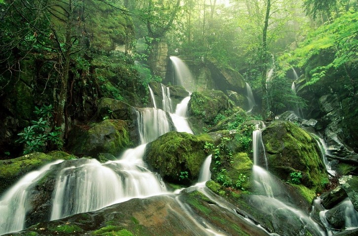 大雾山公园2
