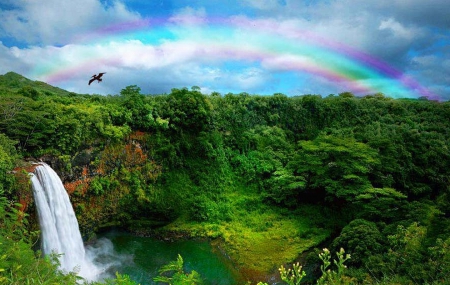 夏威夷彩虹瀑布1