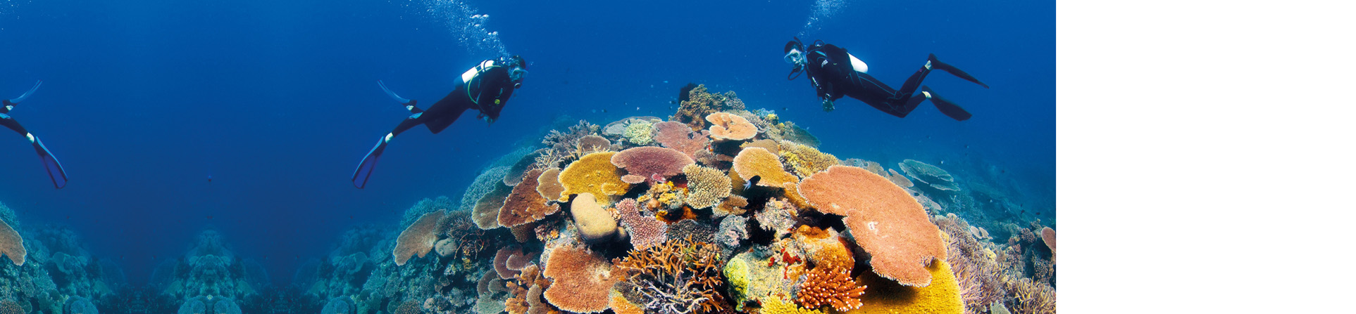 diving